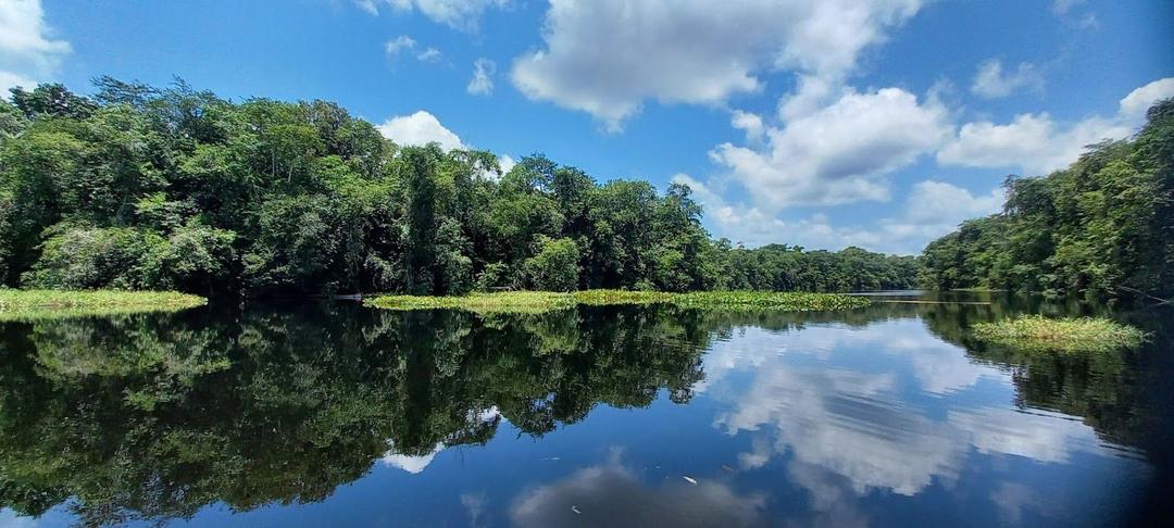 ABC Norte REDD Project